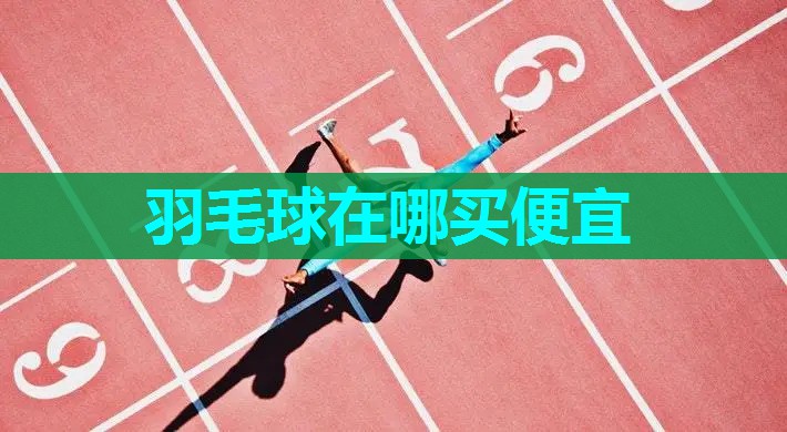 羽毛球在哪买便宜