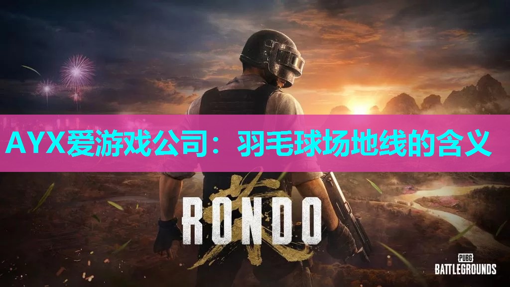 AYX爱游戏公司：羽毛球场地线的含义