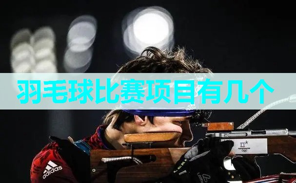 羽毛球比赛项目有几个
