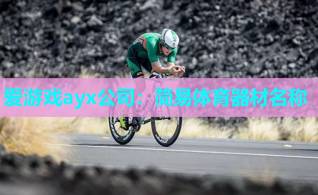 爱游戏ayx公司：简易体育器材名称