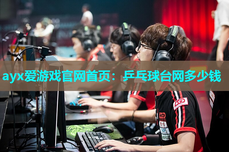 ayx爱游戏官网首页：乒乓球台网多少钱