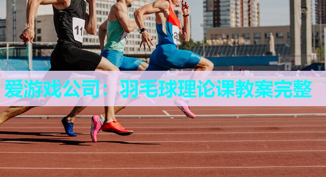 爱游戏公司：羽毛球理论课教案完整