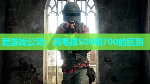 爱游戏公司：羽毛球500和700的区别