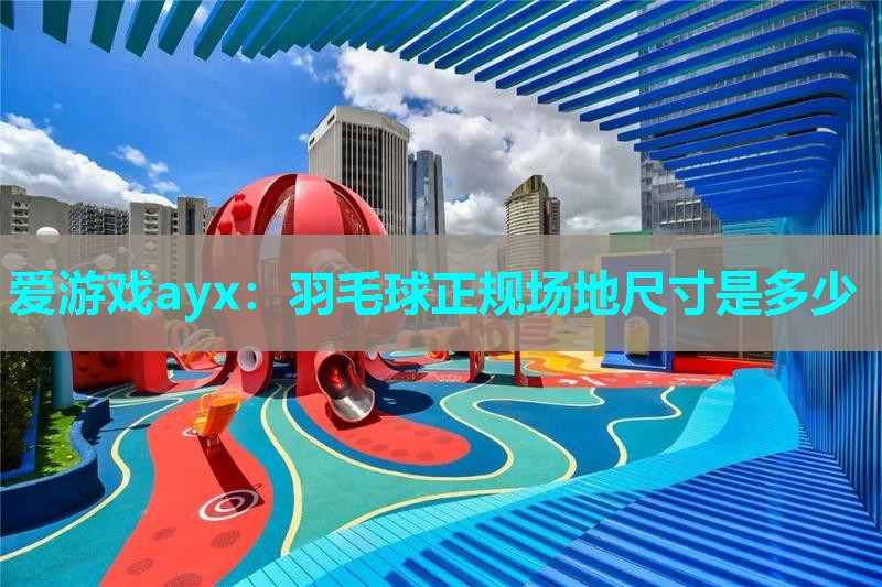 爱游戏ayx：羽毛球正规场地尺寸是多少