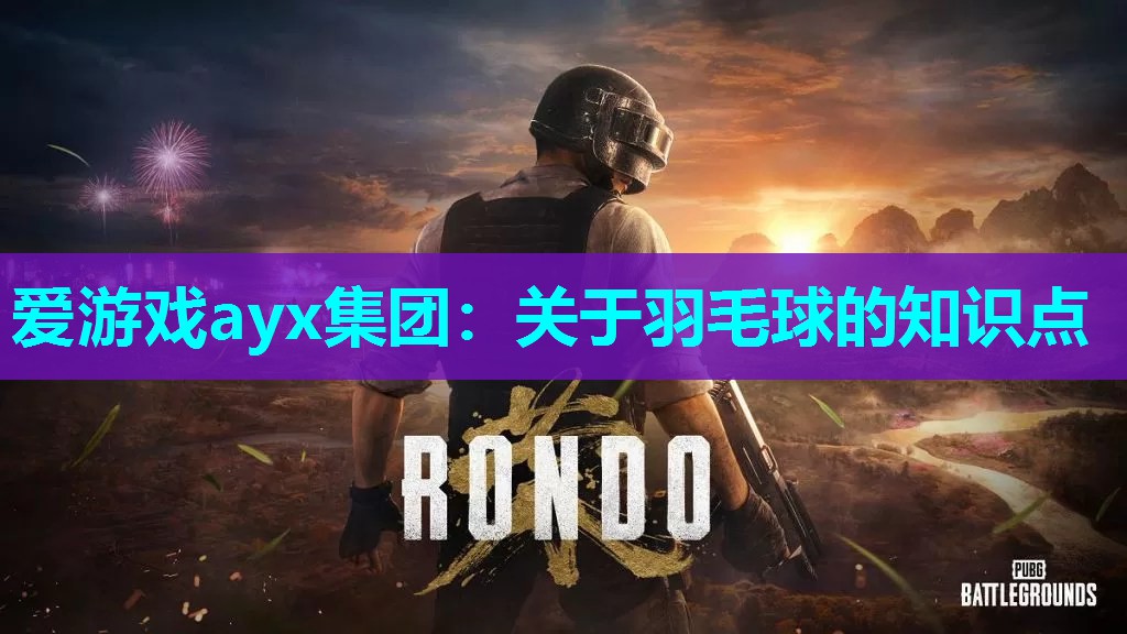 爱游戏ayx集团：关于羽毛球的知识点