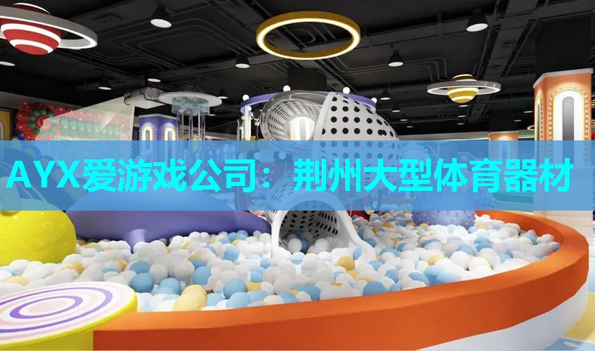 AYX爱游戏公司：荆州大型体育器材