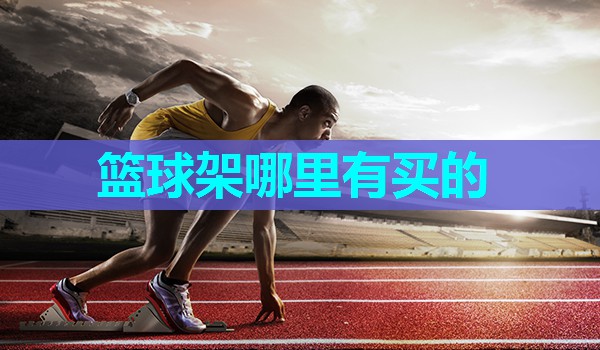 篮球架哪里有买的