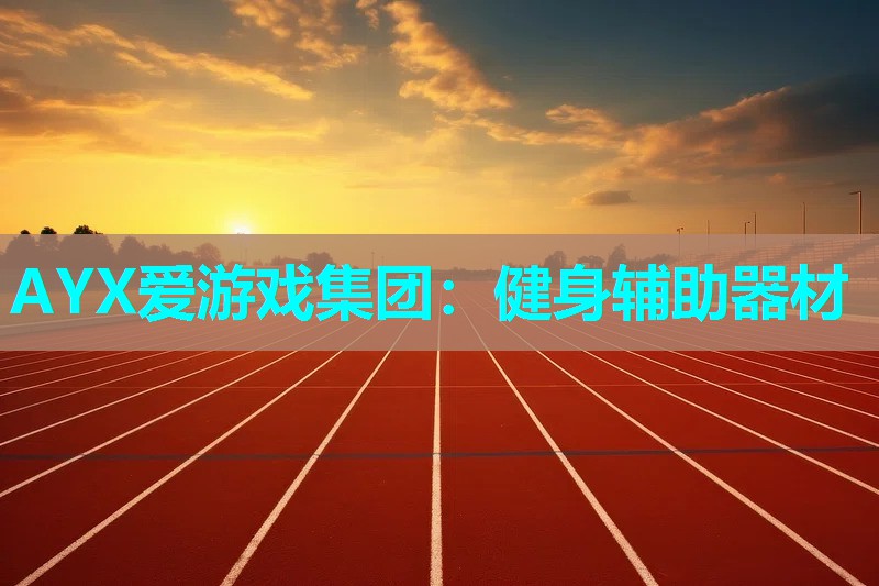 健身辅助器材 健身辅助器材
