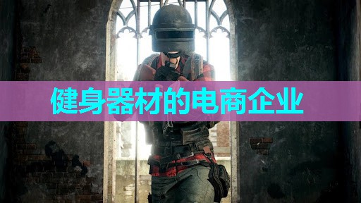 健身器材的电商企业 健身器材的电商企业