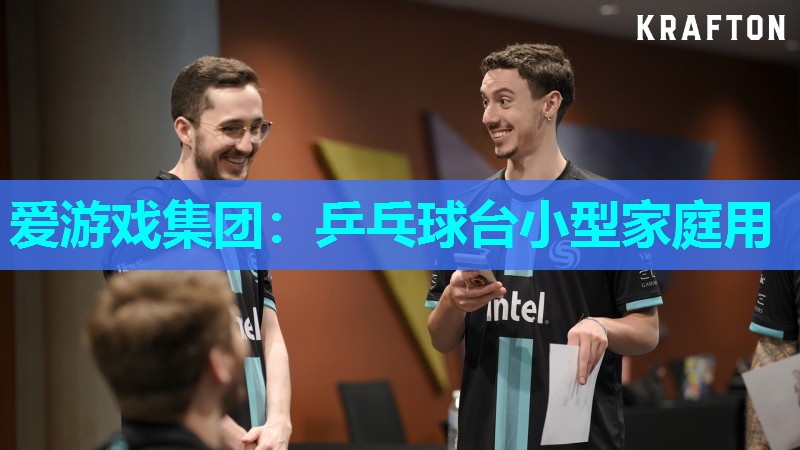 乒乓球台小型家庭用 乒乓球台小型家庭用