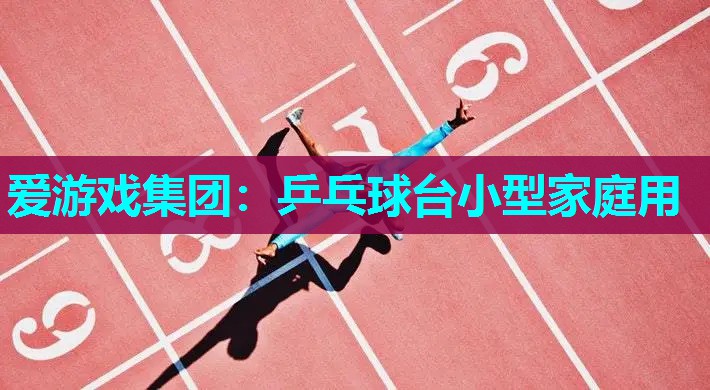 乒乓球台小型家庭用 乒乓球台小型家庭用