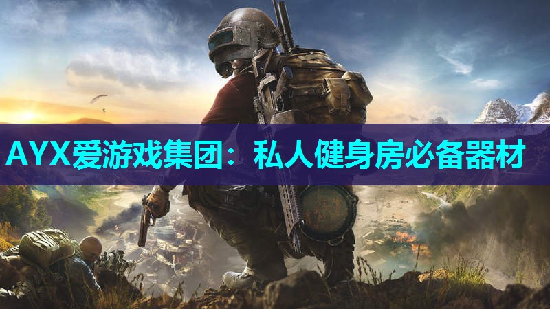 私人健身房必备器材 私人健身房必备器材