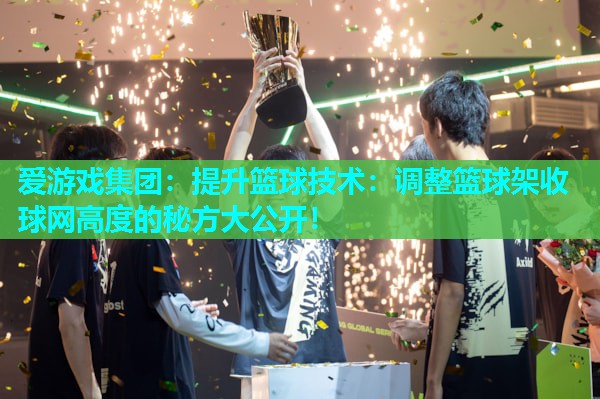 提升篮球技术:调整篮球架收球网高度的秘方大公开! 提升篮球技术:调整篮球架收球网高度的秘方大公开!