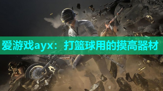 打篮球用的摸高器材 打篮球用的摸高器材