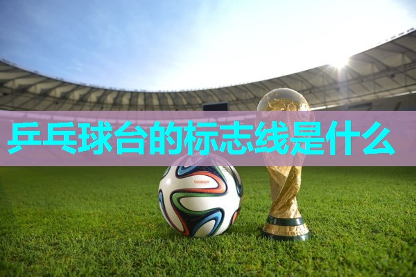 乒乓球台的标志线是什么 乒乓球台的标志线是什么