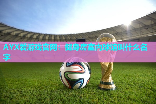 健身房室内球馆叫什么名字 健身房室内球馆叫什么名字