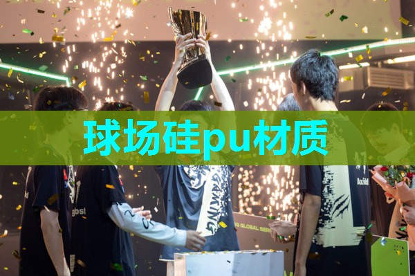 球场硅pu材质 球场硅pu材质