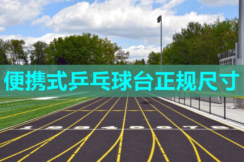 便携式乒乓球台正规尺寸 便携式乒乓球台正规尺寸
