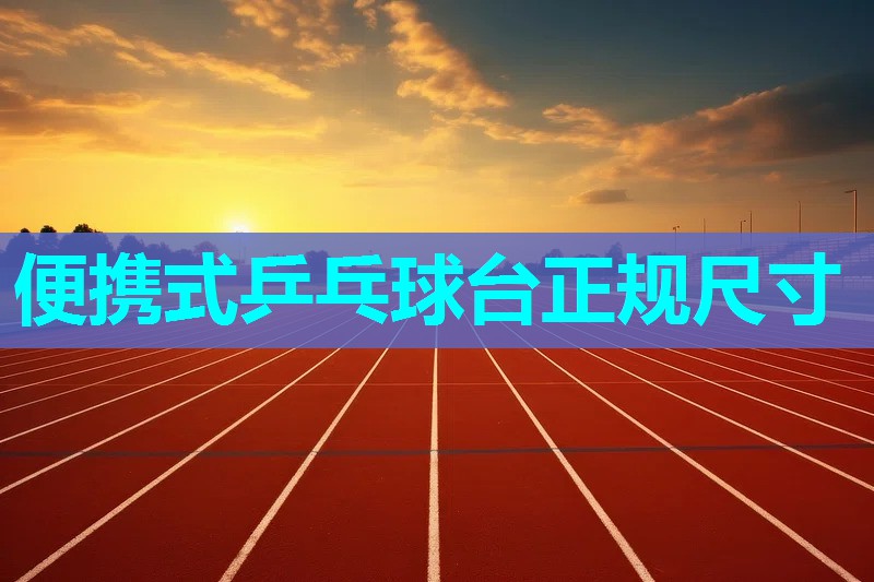 便携式乒乓球台正规尺寸 便携式乒乓球台正规尺寸