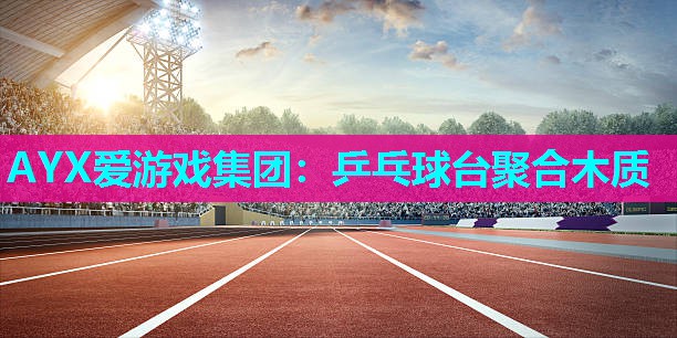 乒乓球台聚合木质 乒乓球台聚合木质