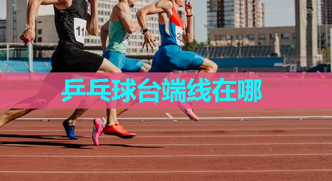乒乓球台端线在哪 乒乓球台端线在哪