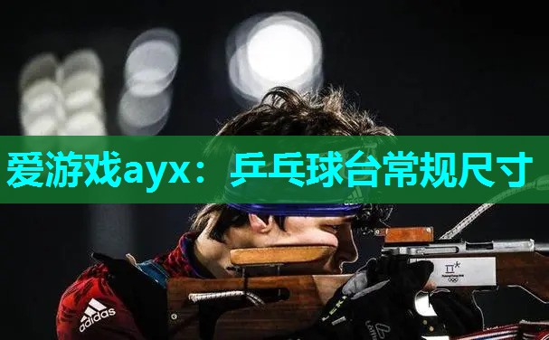 乒乓球台常规尺寸 乒乓球台常规尺寸