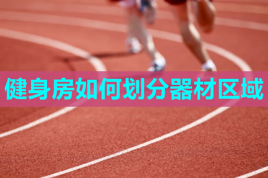 健身房如何划分器材区域 健身房如何划分器材区域
