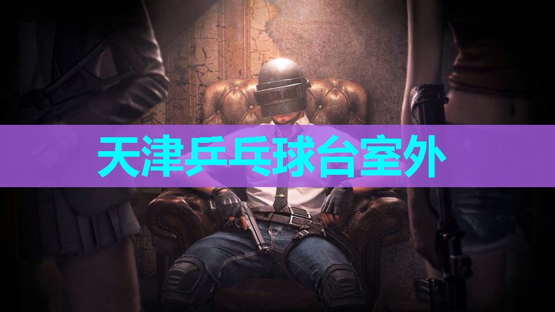 天津乒乓球台室外 天津乒乓球台室外
