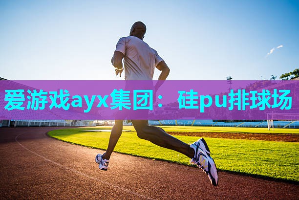 硅pu排球场 硅pu排球场