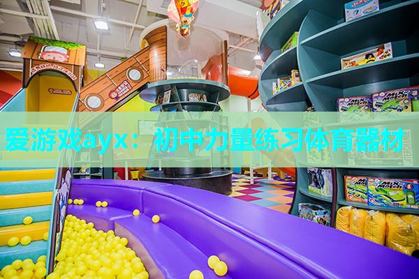 初中力量练习体育器材 初中力量练习体育器材