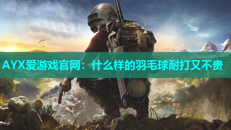 什么样的羽毛球耐打又不贵 什么样的羽毛球耐打又不贵