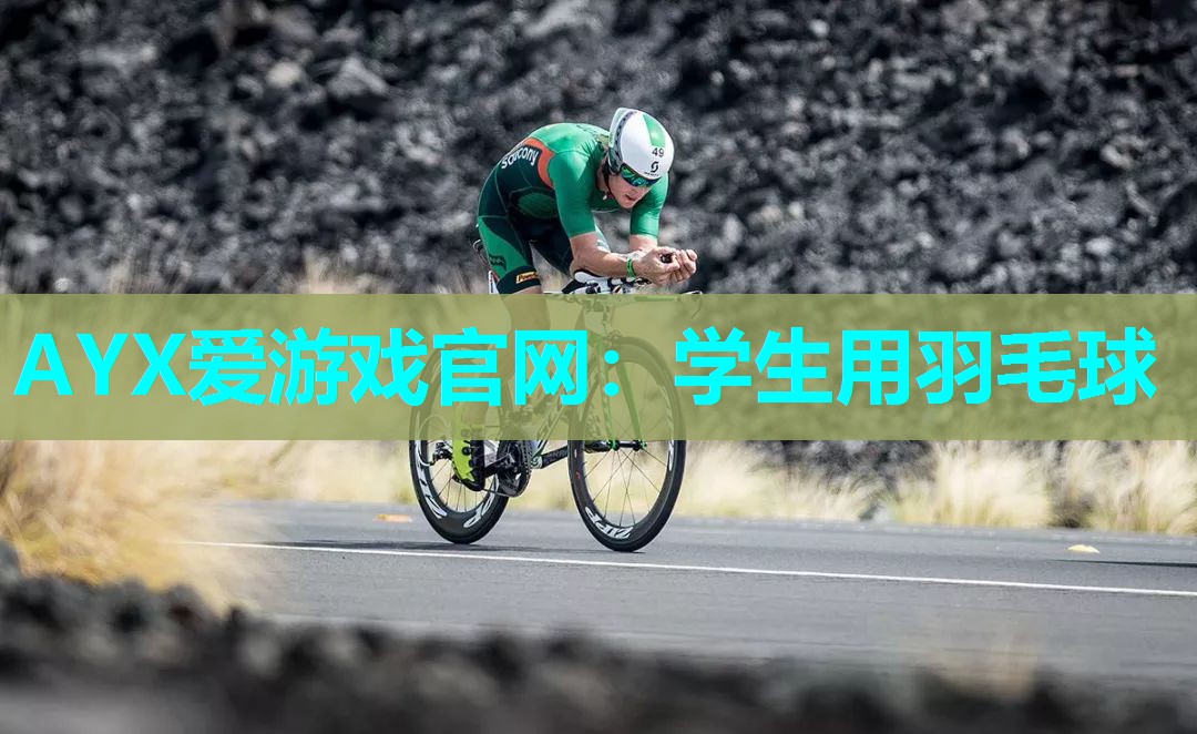 学生用羽毛球 学生用羽毛球
