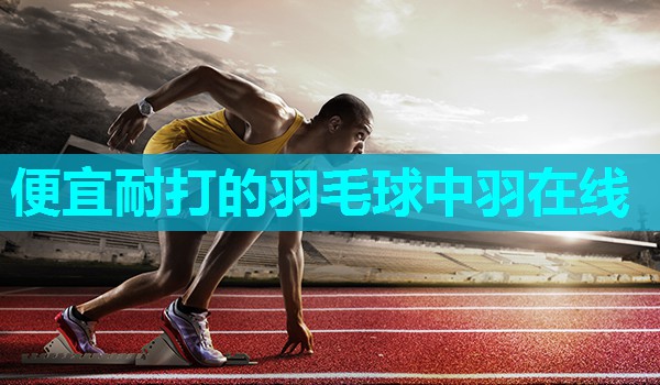 便宜耐打的羽毛球中羽在线 便宜耐打的羽毛球中羽在线