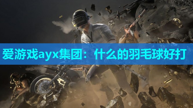 什么的羽毛球好打 什么的羽毛球好打