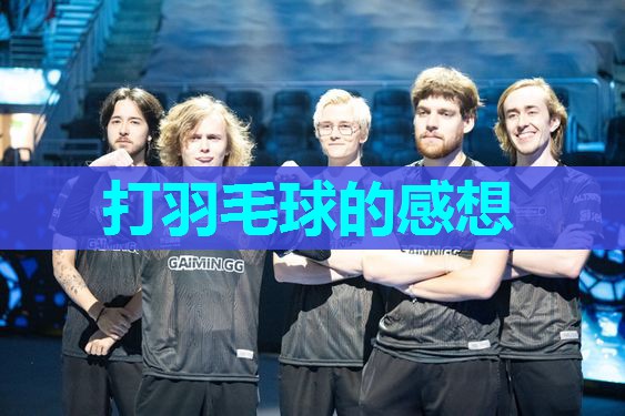 打羽毛球的感想 打羽毛球的感想