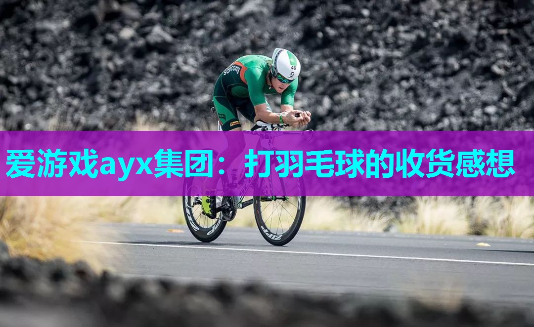 打羽毛球的收货感想 打羽毛球的收货感想