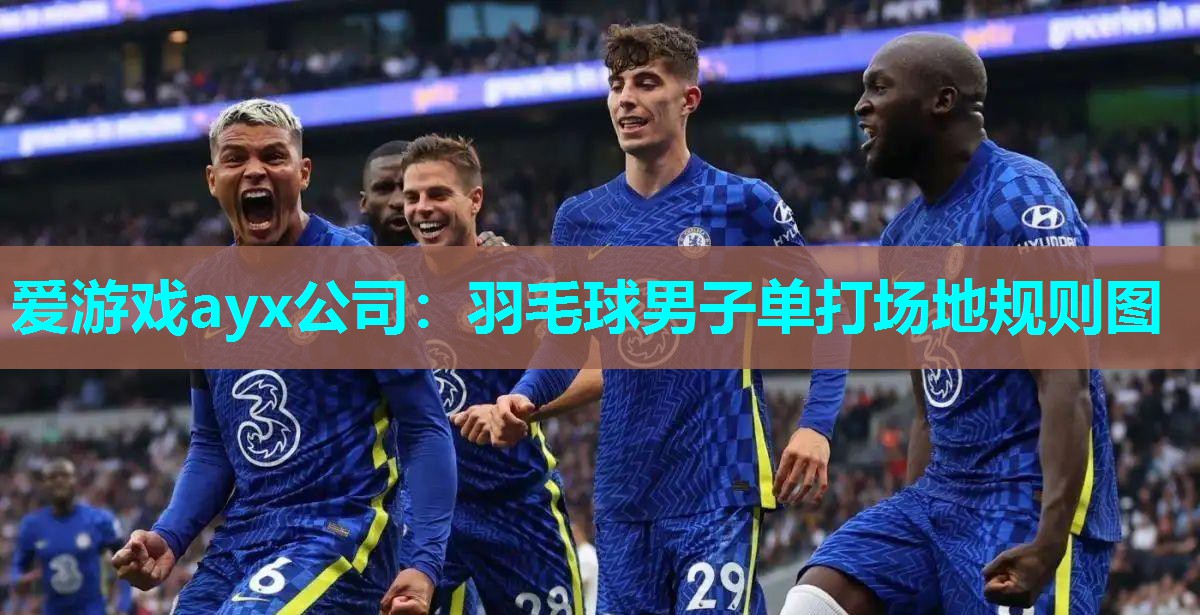 羽毛球男子单打场地规则图 羽毛球男子单打场地规则图