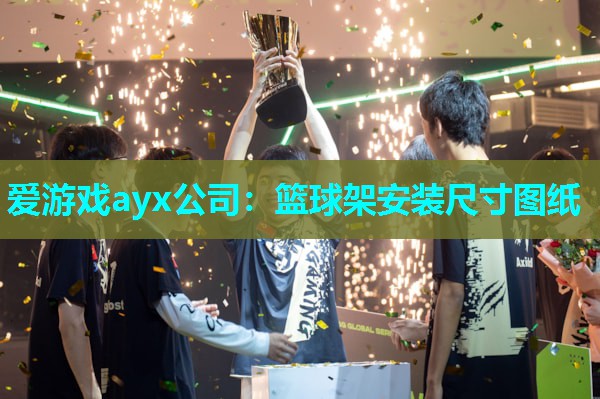 篮球架安装尺寸图纸 篮球架安装尺寸图纸