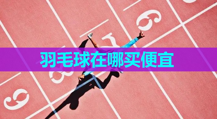 羽毛球在哪买便宜 羽毛球在哪买便宜