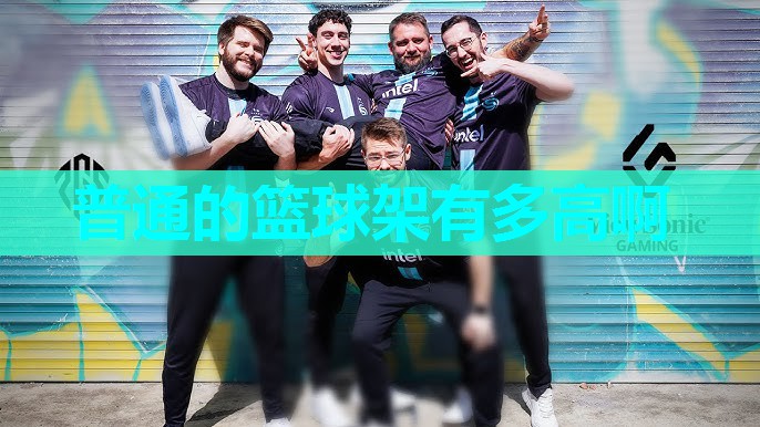 普通的篮球架有多高啊 普通的篮球架有多高啊