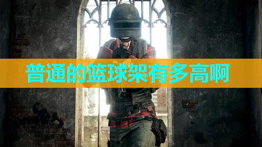 普通的篮球架有多高啊 普通的篮球架有多高啊