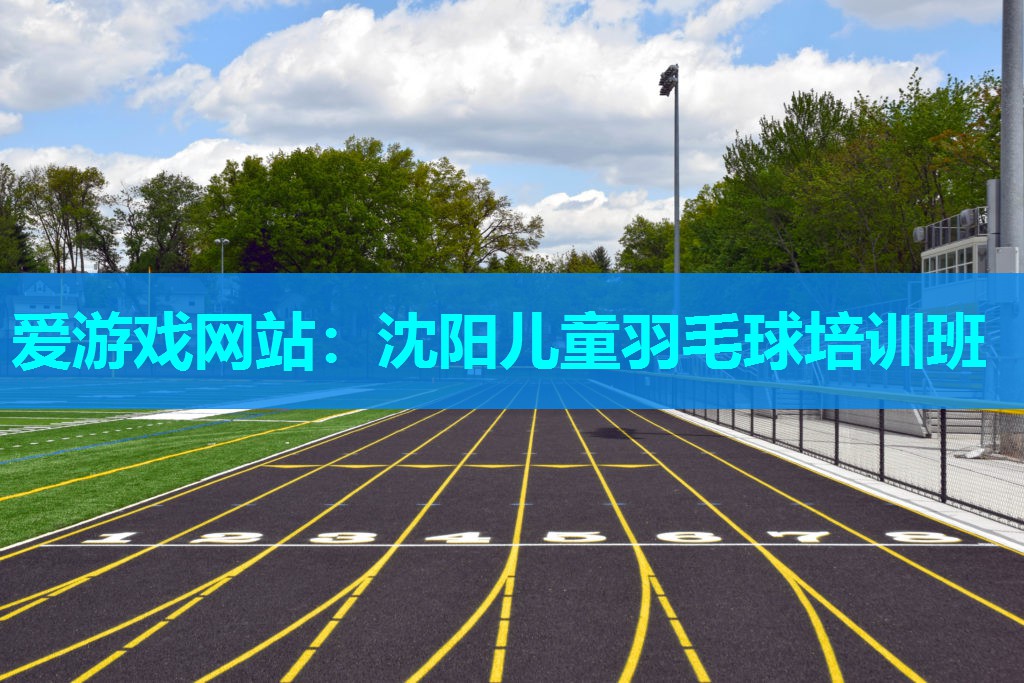 沈阳儿童羽毛球培训班 沈阳儿童羽毛球培训班