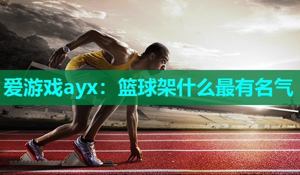 篮球架什么最有名气 篮球架什么最有名气