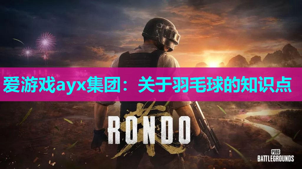 关于羽毛球的知识点 关于羽毛球的知识点