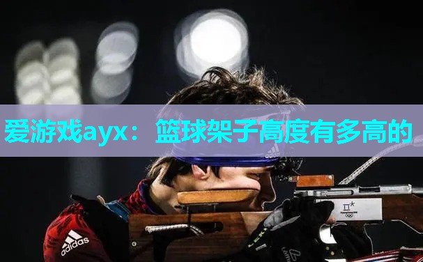 篮球架子高度有多高的 篮球架子高度有多高的