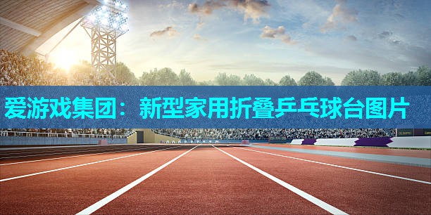 新型家用折叠乒乓球台图片 新型家用折叠乒乓球台图片