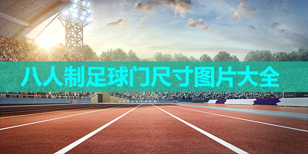 八人制足球门尺寸图片大全 八人制足球门尺寸图片大全