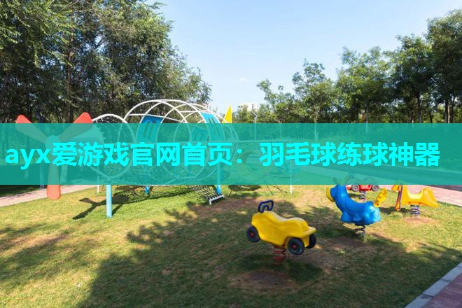 羽毛球练球神器 羽毛球练球神器