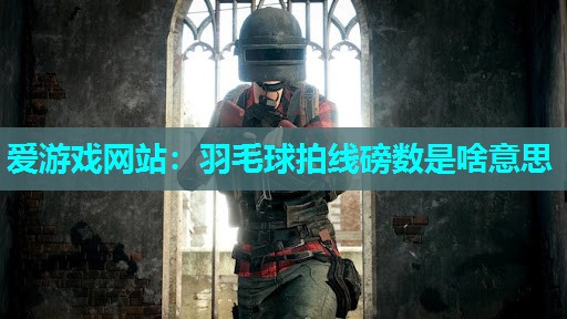 羽毛球拍线磅数是啥意思 羽毛球拍线磅数是啥意思