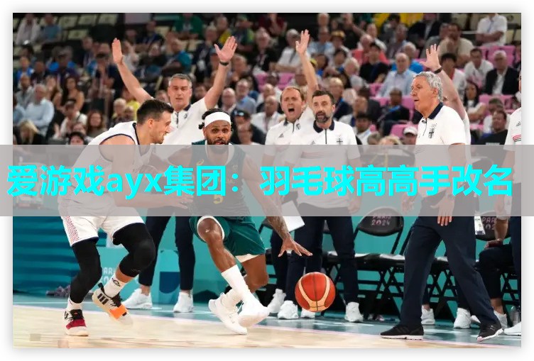 羽毛球高高手改名 羽毛球高高手改名